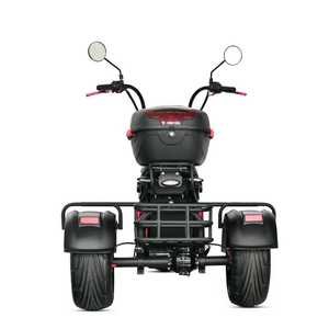 Nouveau modèle loyaux Citycoco : Scooter électrique à 3 roues, Citycoco 3000W, Tricycle électrique à pneus larges, Tricycle à trois roues 4000W - Product Image 4