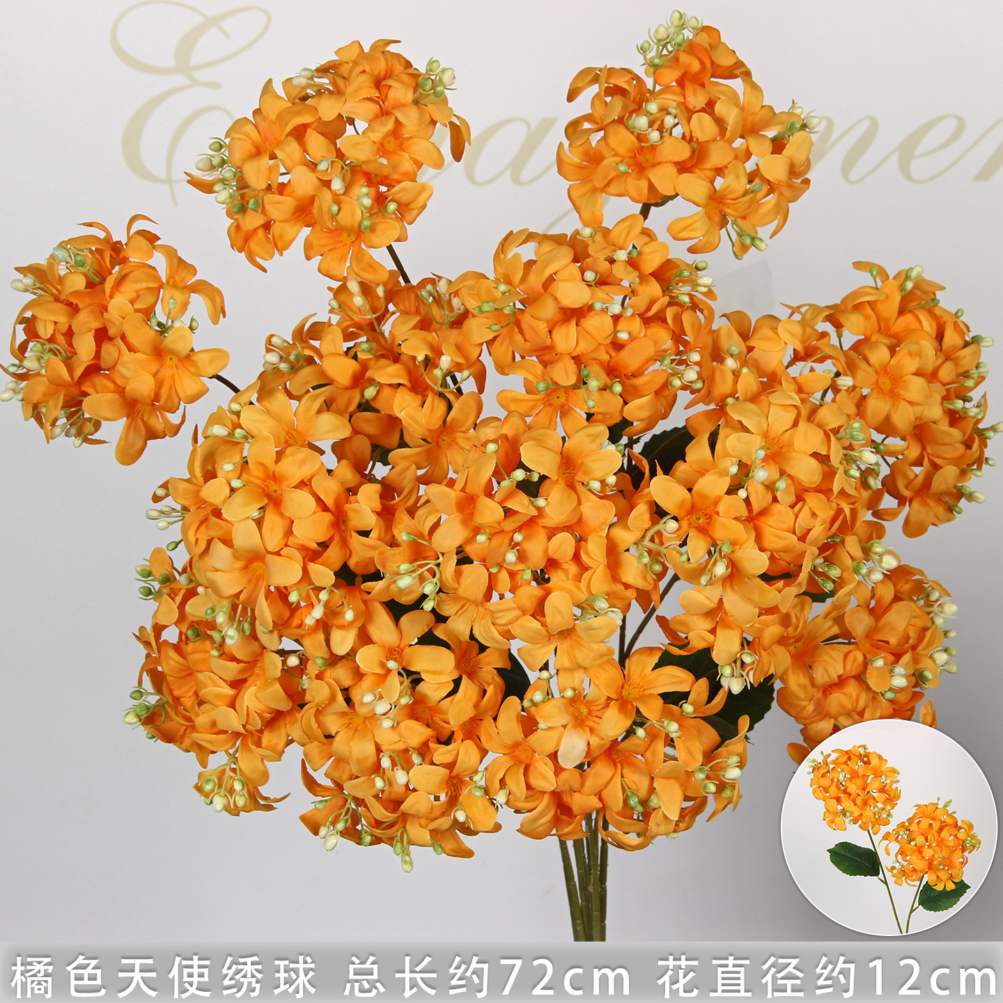 Hortensia ange orange à deux têtes