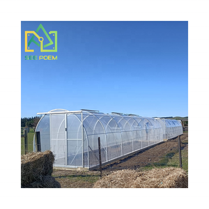 Serre tunnel en polyéthylène à cadre en aluminium 3x12m, petit modèle, pour jardin, prix usine, matériau PE compétitif - Product Image 4