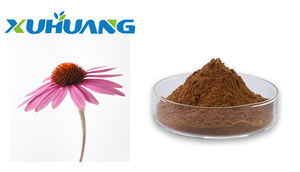 Прямое качество с завода, экстракт эхинацеи, хикорная кислота, 2% порошок эхинацеи HPLC - Product Image 2