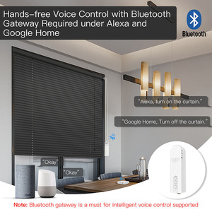Tuya Smart Roller Blind Motor With Remote Control For Automatic Curtains Ceiling Installation Built In Battery - Product Image 3
