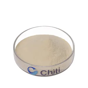 Chiti fonte de fábrica melhor peptídeos de colágeno pó de proteína hidratratada no pó glidants ótimo sabor para bebidas