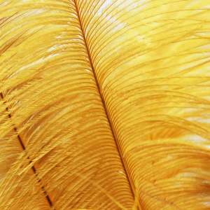 Sandali <span class=keywords><strong>con</strong></span> Tacco Alto di Ultima Moda per Donne e Signore <span class=keywords><strong>con</strong></span> <span class=keywords><strong>Piume</strong></span> e Strass Vendita Calda per l'Estate - Product Image 4