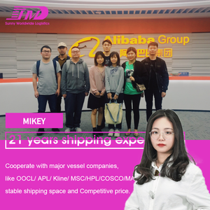 Agente de envío SWWLS DDP Servicio de transitario de envío de carga aérea barato de China a Filipinas Manila Cebu Davao - Product Image 2