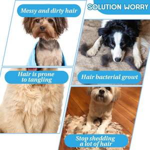 2 piezas Ciseaux De Toilettage Professionnels Pour Chiens Et Chats En Acier Inoxydable, Avec Embouts De - Product Image 3