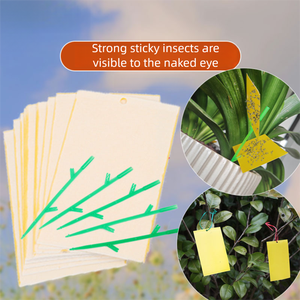 Trampa Adhesiva Plegable de Doble Cara para <span class=keywords><strong>Insectos</strong></span>, Amarilla, de Alta Adhesión, Lista para Enviar, con Diseño Dividido para Jardinería Doméstica y Plantación en Balcón - Product Image 4