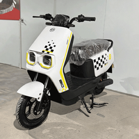 B2B Wholesale 2026 New Product 1000W 60V Electric Motorbike Digital Smart Adult Mountain Bike EBike Motorcycle