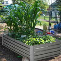 Planteur surélevé en métal pour légumes et fleurs, lit de jardinage polarisé, boîtier de jardinage surélevé en acier