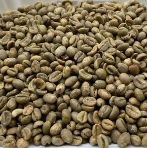 กาแฟเวียดนามอาราบิก้า สตาร์มายา คอมเมอร์เชียล มายด์ส กระบวนการผลิตแบบ Wet Hull และเมล็ดกาแฟเขียวชนิดพิเศษที่ยั่งยืน - Product Image 1