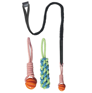 Juguetes Divertidos para Mascotas, Juguetes Interactivos para Exteriores, Cuerda de Tira y Afloja, Pelota, Juguetes para Masticar, Juguetes de Entrenamiento para Perros - Product Image 1