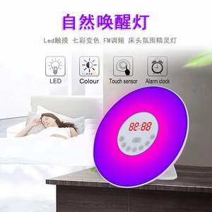 Sunrise Wake Up Light Led Night Light Dual Clock Alarm Bedside <b>Lamp</b> With <b>Touch</b> Sensor And Color Changing Feature - Product Image 1