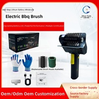Brosse de nettoyage pour barbecue électrique rechargeable à batterie lithium, lumière LED, poils en acier inoxydable 304 avec deux têtes de brosse réutilisables