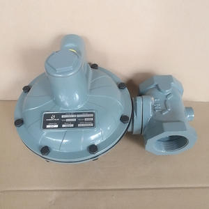 Válvula Reductora de Presión de Gas Natural DN50, Válvula Reguladora de Gas para Tuberías Industriales, Accesorios Esenciales para Quemadores - Product Image 3