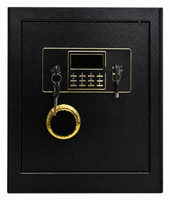 Caja de Seguridad Oculta para el Hogar, Oficina u Hotel, Caja Fuerte para Dinero, Efectivo y Joyas con Cerradura Digital Electrónica y Llaves de Emergencia