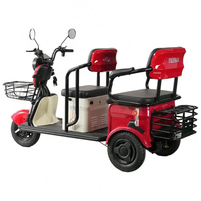 Nova porta triciclo elétrico barato fechado 2 assentos triciclo 3 rodas triciclo elétrico