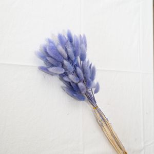 M714 <span class=keywords><strong>bouquet</strong></span> décoratif longue durée 60 <span class=keywords><strong>fleurs</strong></span> séchées naturelles queue <span class=keywords><strong>de</strong></span> lapin Bouquets d'herbe avec sac Opp - Product Image 4