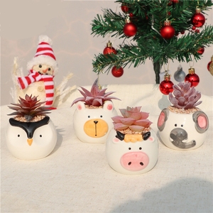 Maceta de Cerámica con Forma de Animal, Linda, para Plantas, Adorno de Escritorio, Decoración del Hogar, Maceta de Jardín, Maceta de Cerámica para Suculentas - Product Image 3