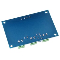 FYX Stock XH-M543 TPA3116D2 TPA 3116 D2 Carte d'amplificateur audio numérique mono canal 100W DC 12V 24V Grande capacité