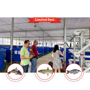 Invernaderos Acuapónicos Comerciales Usados de Gran Tamaño y de Una Sola Vía con Película de PE para Estanques de Peces y Producción de Vegetales - Product Image 5