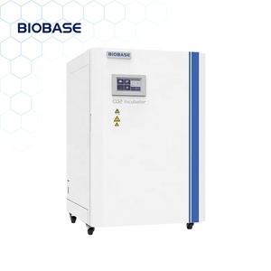 Incubadora de CO2 BIOBASE K, Suministro Directo de Fábrica, BJPX-C100M, con Cámara de Aire, Temperatura de 5~60 °C ℃   Incubadora de Acero Inoxidable de 100L para Laboratorio en Stock - Product Image 2