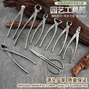 Juego de herramientas para bonsái, tijeras de podar de acero inoxidable, podadora de precisión para paisajismo, jardinería doméstica, agricultura y plantación - Product Image 2