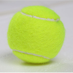 <span class=keywords><strong>Pelota</strong></span> de <span class=keywords><strong>raqueta</strong></span> de playa <span class=keywords><strong>con</strong></span> logotipo impreso, <span class=keywords><strong>pelota</strong></span> de tenis de playa, logotipo personalizado - Product Image 4