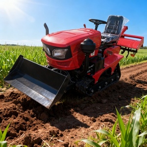 Pequeños tractores de orugas con motor diésel 2WD para invernaderos, campos de arroz de <span class=keywords><strong>tierra</strong></span> seca, microcultivadores de alta productividad de dos ruedas - Product Image 6