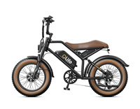 Vélo électrique Qlife Us Stock à double moteur, pneus larges, 750W, 52V 20A, tout-terrain, pour hommes et adultes, batterie au lithium, livraison directe