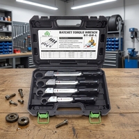 Clé dynamométrique à cliquet en acier allié de haute précision de qualité industrielle, plaquée chrome, métrique, OEM 75 N.m, avec poignée ergonomique en cuivre