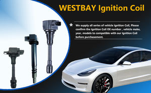 Bobine d'allumage haute performance Westbay pour 2 broches <span class=keywords><strong>Msd</strong></span> Universal Fit pour les <span class=keywords><strong>motos</strong></span> Fi et Carb - Product Image 6