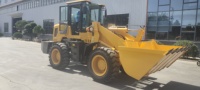 Mini-chargeuse sur pneus chinoise Shanghai GP de 2,8 tonnes à prix avantageux