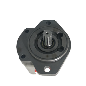 Pompe à engrenages externe série HUAMAO AZPF AZPF-10-14L AZPF-10-20L Pompe à huile hydraulique pour machines industrielles - Product Image 4