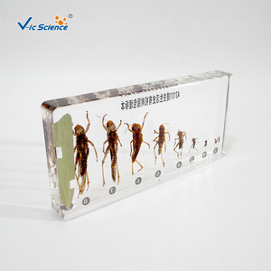 43101 - Product Image 3