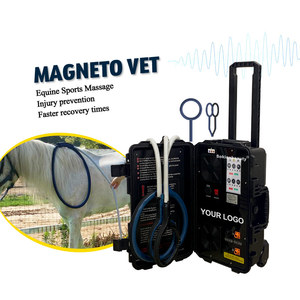 Sistema Portátil de Rehabilitación Equina, Máquina de Terapia PEMF de Alta Potencia para Uso Diario en Clínicas Veterinarias y Establos - Product Image 1