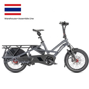 Nouveau Vélo <span class=keywords><strong>Cargo</strong></span> Électrique Abordable pour Adultes, Cadre en Alliage d'Aluminium, Pneus Anti-Crevaison Super Résistants - Product Image 1