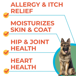 Premium minyak Salmon Liar murni untuk anjing kucing kaya Omega hewan peliharaan alami suplemen Liquid - Skin Coat Care dukungan bersama - Product Image 2