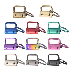 Hot Sale Handbag Metal Accessories Mix Colors Keyring Key Fob Hardware With Ring Rainbow Clip Key Chain Making Hardware Supplies