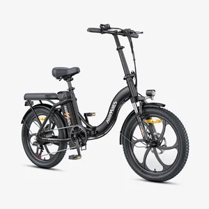 Bicicleta eléctrica plegable HillMiles de 36V 13Ah con nuevo diseño, en stock en la UE, de 20 pulgadas y 250W, para profesionales que se desplazan por la ciudad. - Product Image 1