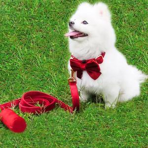 <span class=keywords><strong>Collar</strong></span> de perro de lujo con logotipo de Etiqueta Privada, <span class=keywords><strong>Collar</strong></span> de mascota con hebilla de Metal, Correa Para Perros, arnés de entrenamiento para mascotas, conjunto de <span class=keywords><strong>Collar</strong></span> de correa - Product Image 3