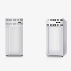 quick freezer machine cryogenic system