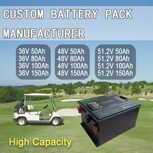 Batteria per veicoli elettrici 24V 200Ah 100Ah 36V 48V 72V 50Ah 80Ah batteria agli ioni di litio Lifepo4 per Scooter carrello da Golf