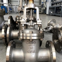 Vanne à opercule en acier inoxydable 4"/6"/8"/10"/12" DN100/DN150/DN200/DN250/DN300 SS 316/304L/CF8/CF8M/Duplex 2507 Classe 300 RTJ