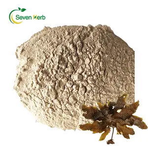 Wholesale Price Seaweed Extract 80% 85% 90% 95% 98% Fucoidan Powder CAS 9072-19-9