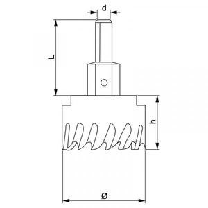 FERVI - F015/038 Fraise à trous 800 n/mm² HSS - EAN 8012667313739 FORETS SCIES ET ARBORS - Product Image 2