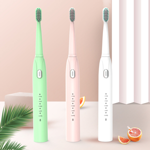 Ultrasonic Electric Toothbrush Vibration Whitening Rechargeable tooth brush Cleaning Replacement Teeth Brush