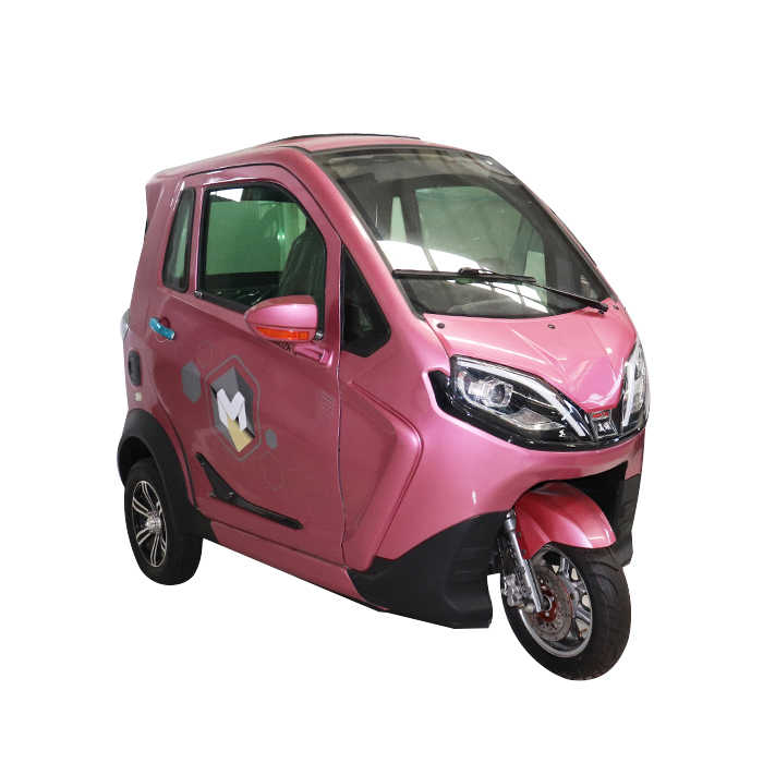 KEYU Enclosed Rainproof Motor 1000W Tricycle Electric Rickshaw for ...