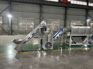 Ligne de production de poudre d'<span class=keywords><strong>ail</strong></span> automatique à <span class=keywords><strong>prix</strong></span> réduit, en acier inoxydable <span class=keywords><strong>noir</strong></span> et blanc, avec roulement de moteur, haute efficacité - Product Image 4