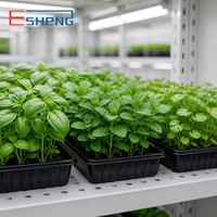 Cámara de Cultivo Climatizada Phytotron con Iluminación Avanzada para Estantes de Cultivo y Diseño de Ahorro Energético - Fabricante