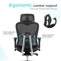 Chaise de bureau ergonomique pivotante en maille, design moderne, avec support lombaire, siège en forme de W, hauteur réglable, vente en gros en Chine
