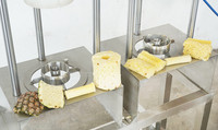 Complete ananasverwerkingsmachineset, pneumatische schil-, ontpitten- en segmenteermachine (dubbelkop), handmatige snijgereedschappen